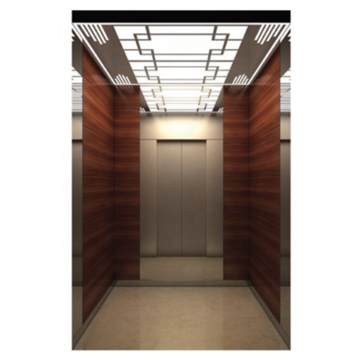 các mẫu thang máy gia đình