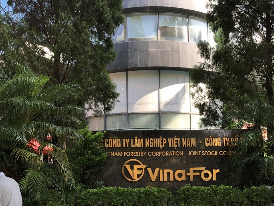 Tổng công ty Lâm nghiệp Việt Nam