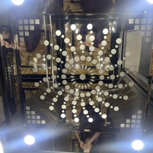 Thang máy gia đình vách inox cabin tiêu chuẩn