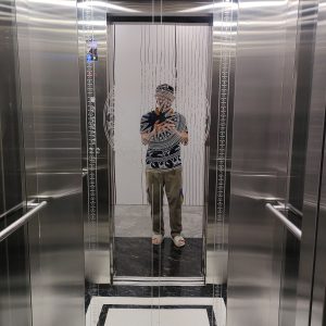 Thang máy vách kính gia đình inox gương trắng hoa văn