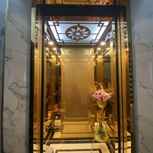 Thang máy văn phòng inox vách inox gương vàng xen inox gương vàng hoa văn